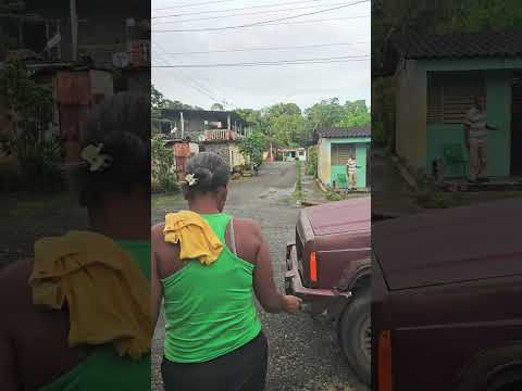 M7.5 Earthquake shakes a garden in Panaquire, Miranda, Venezuela