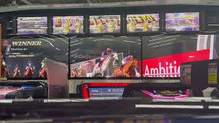 スタホ４　発動馬記録　ブライドジョーカー＃戦10.11戦目