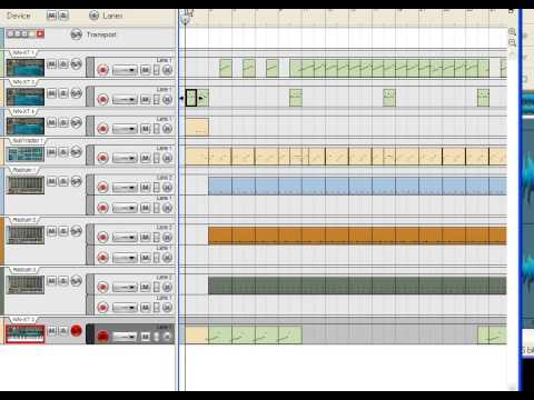 CaniBus Whats Going On