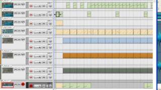 CaniBus Whats Going On