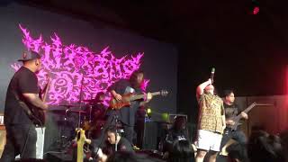 Download lagu NIMANG ENSERA - Fate of the Hornbill [LIVE] (New Song 2019) at Death Returns Final: The Serpent War mp3