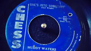 She&#39;s Into Somethin&#39; - Muddy Waters