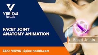 Facet Joint Anatomy Animation