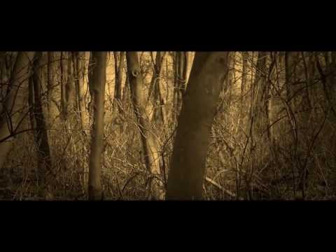 Środki do leczenia palucha koślawego. Gdy wkładka kolana koślawe