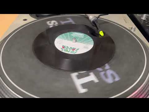 Vinyl Raggamuffin / PART2STYLE SOUND feat. Tippa lrie