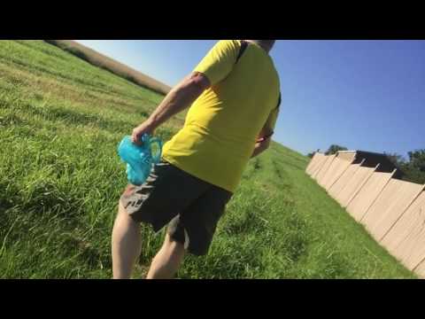 The funeral for a bird