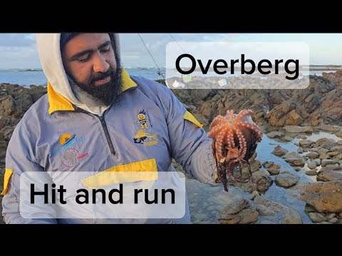 Overberg hit and run 