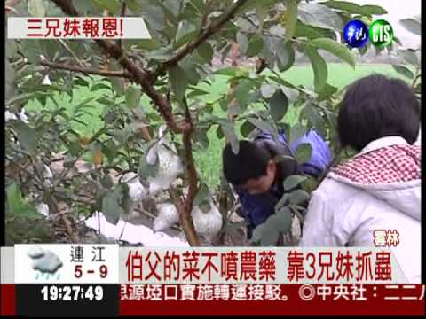 父逝母離家 3兄妹靠伯父拉拔大