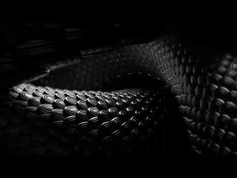 Bitipatibi - Ti si kralj