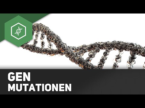Gene mutations - frame mutations (insertion, deletion)