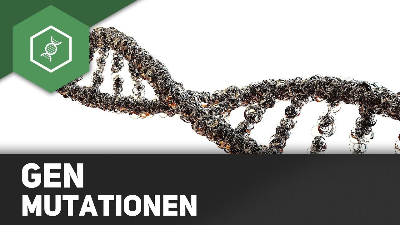 Genmutationen - Rastermutationen (Insertion, Deletion)
