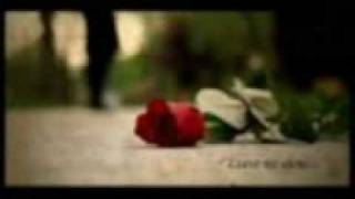 If I Am A Stranger - Ryan Adams