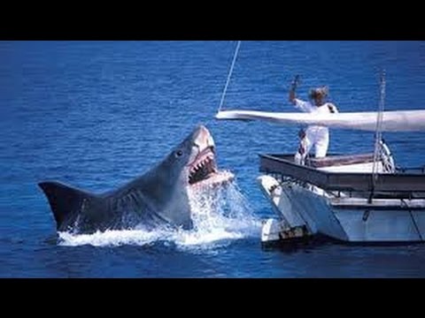 Jaws The Revenge (1987) - Soundtrack Suite - Michael Small