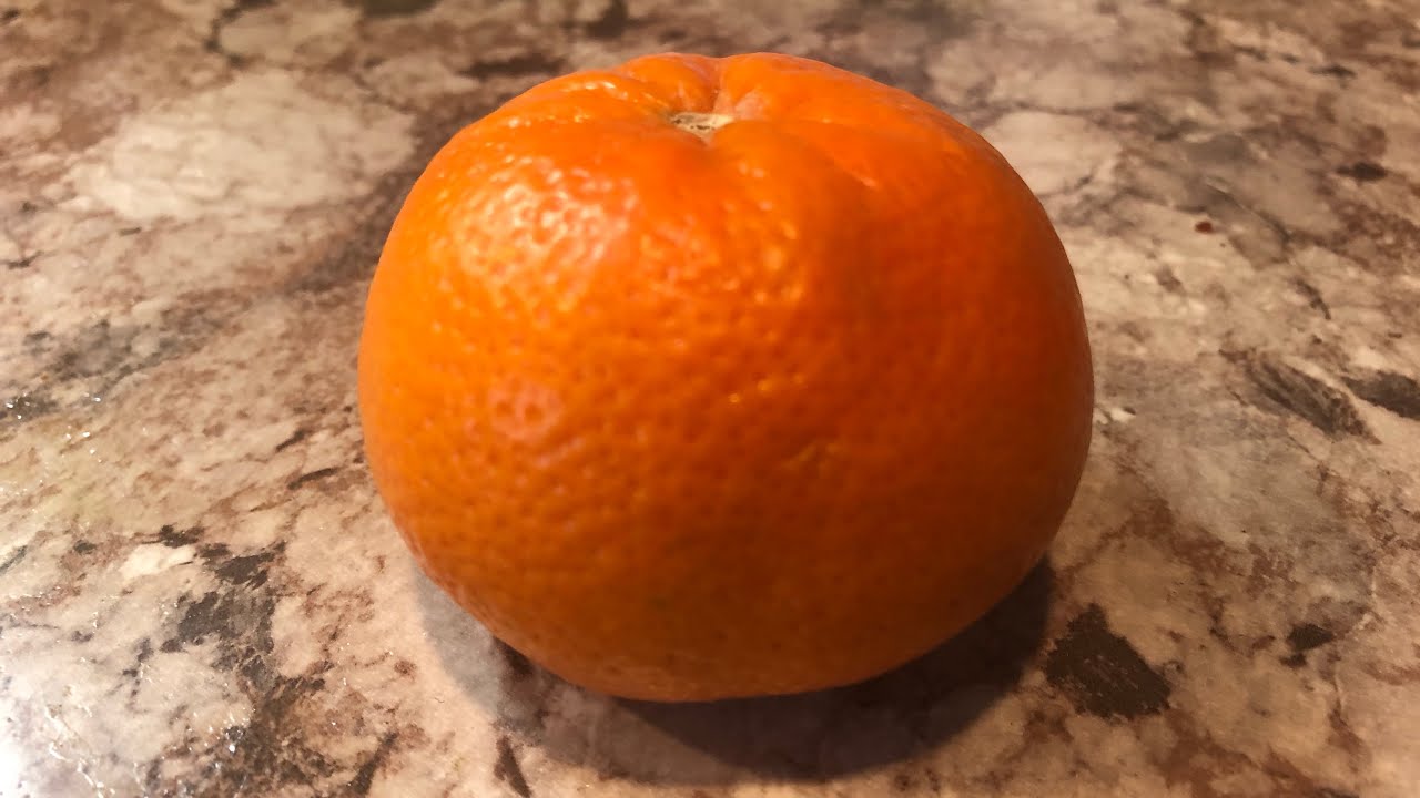 The Anatomy of an Orange - Patterns of Intelligent Design