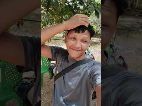 Tardezinha no Neves Tracuateua Pará #belem #amigos #interior