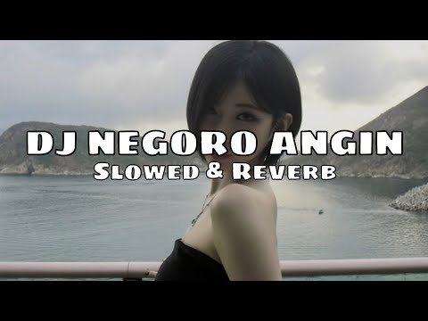 DJ Negoro Angin - Muslih Fvnky (Slowed & Reverb)