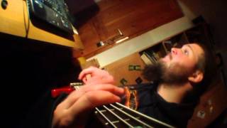 Warren G and Nate Dogg's Regulate Bass Cover by Tommi D