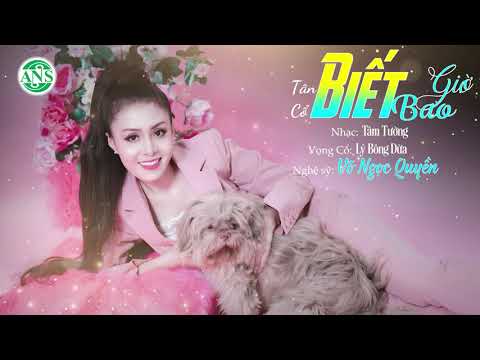 Ảnh bài hát Biết Bao Giờ - Thể hiện bởi Võ Ngọc Quyền