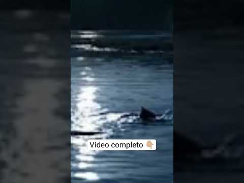 #rubiataba #históriadegoiás #pioneiros #documentário #goiás #educational #foryou #fyp