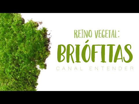BRIÓFITAS - Reino Vegetal