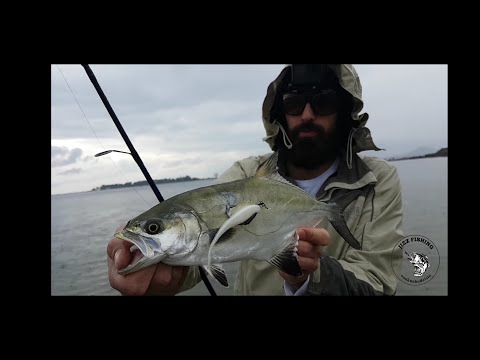 Adriatic sea fishing - Jizz Fishing Neretva - Part 2.