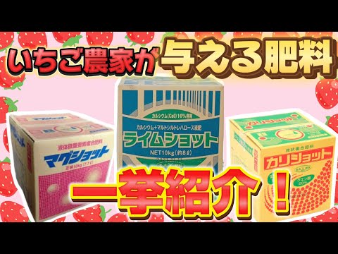 竹に適切な肥料を与える トピックス
