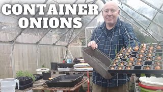 Grow Onions In Containers