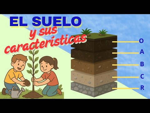 "¿Qué es el Suelo?🌱 | Formación, Tipos, Composición y Horizontes del Suelo".