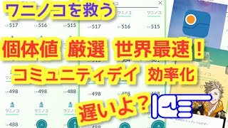 【ポケモンGO 実況】個体値 厳選 効率化 解説！ 【大都会 岡山 コミュニティデイ】