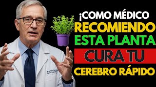 6 Plantas Que un Neurólogo Recomienda Para Blindar el Cerebro | Salud de Adultos Mayores
