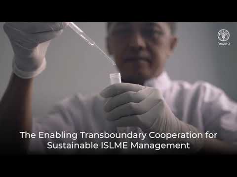 Partnering for Resilience and Sustainability of the Indonesian Seas