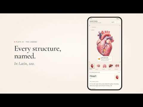 Anatomia: 3D Human Anatomy video thumbnail