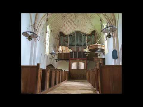 Vincent van Laar plays Sweelinck on the 1531 Krewerd organ