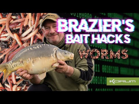 Bait Hacks - Worms