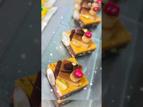 special gato 💘💘 #shortvideo