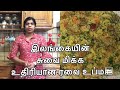 Srilankan easy and tasty veg rava upma recipe in Tamil | MathanRagini Cooking Channel