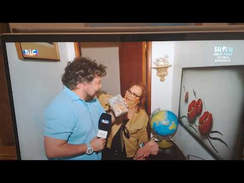 Terra Nossa - «tantas escadas, Dulcínea...»