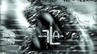 Front Line Assembly - Vexation (remix)