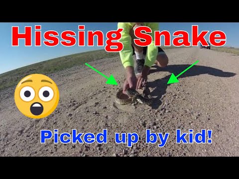 YouTube Video sasYFWwvDJs