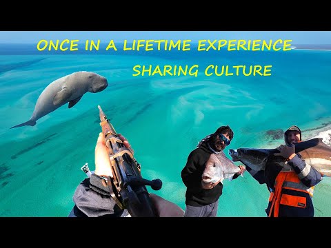 HUNTING DUGONG - Crazy Day Fishing in Shark Bay. (GETTING CULTURED)