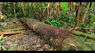 Download lagu Wodwoorking kayu ulin..!! Kayu kecil yang di buat balok..  mp3