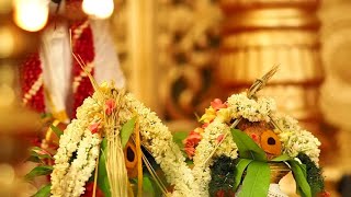 Wedding - Arvind 💕 Srinidhi