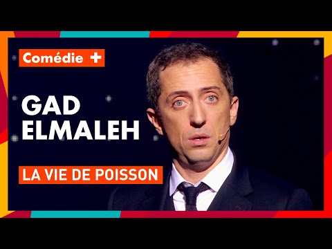 Pour Gad Elmaleh - Les poissons sont bêtes - 20 ans de scène - Comédie+