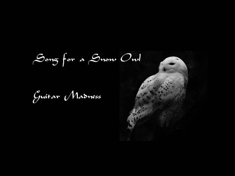 Song for a Snow Owl