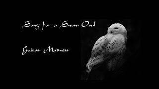 Song for a Snow Owl