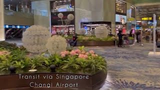 Maldives to Singapore on Singapore Airlines | Transit to Bali