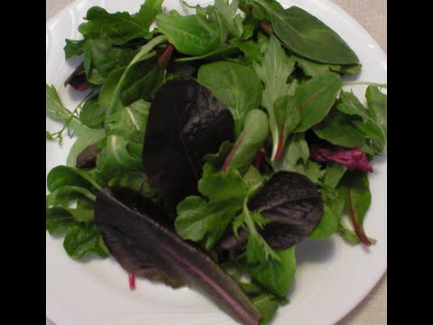 Spring Mix 101 - Tips and Ideas (PART 1)