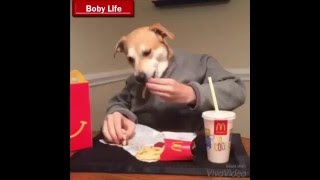 Download lagu Komplikasi Minang Lipp (Episode 1) mp3