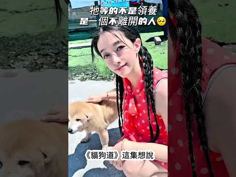 梁依霏-網紅與善的距離 - 第2集《貓狗知道》投票區