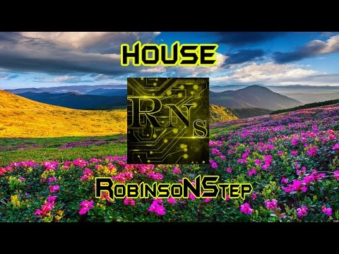 (House)Steam Phunk - Phunky
